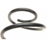 Пружина (передня) Ford Focus II 1.4/1.6/1.6Ti/ 04-12 (седан/універсал/нах.зад.частина)