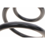 Пружина (передня) Ford Transit Tourneo 06-14 (з борт.пл/фургон/автоб.)(оснащ.зависимо від двигуна)