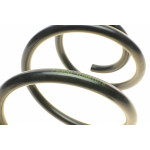 Пружина (передня) Ford C-Max 1.6 07-10 (вен)