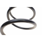 Пружина (передня) Hyundai Santa Fe I 2.0CRDi/2.0CRDi 4x4/2.7 4x4 01-06 (позашляховик)