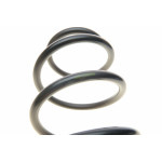 Пружина (передня) Opel Combo 1.4/1.6 04- (вэн/фургон)/Corsa C 1.2 00-06 (хетчбэк/фургон)