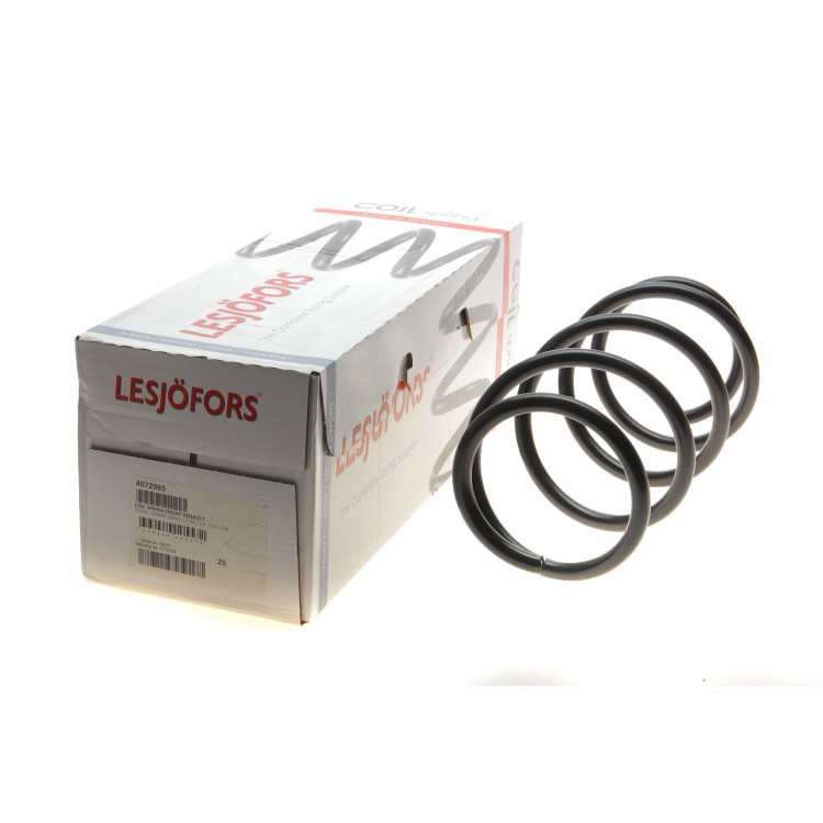 Пружина (передня) Renault Scenic II/Grand Scenic II 1.5dCi/2.0 03-10 (вен)