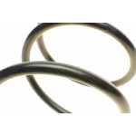 Пружина (передня) Toyota Rav4 I 2.0 4WD 94-00 (SUV)