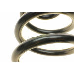 Пружина (задня) Audi A6 2.0TDI/TFSI/2.4/2.7-3.0TDI/2.8-3.2FSI 05-11 (унив.) (без спорт.ход.ч)