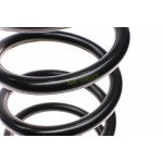 Пружина (задня) Citroen Jumpy/Peugeot Expert 1.6/1.8/1.9D/TD/2.0/HDI 96-06 (вен/фургон/з борт.пл)