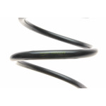Пружина (задня) Dacia Duster 1.2TCe/1.5dCi/1.6 16V 4x4 10-18/Renault Duster 1.5dCi/1.6 16V 4x4 11-