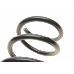 Пружина (задня) Ford C-Max 1.6-2.0/1.6-2.0TDCI 07-10 (вен) (346mm)