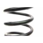 Пружина (задня) Hyundai i30 1.4-1.6/1.6CRDi/2.0 07-11/Kia Ceed 1.4-1.6/1.6CRDi/2.0 06-09 (накл.з.ч)