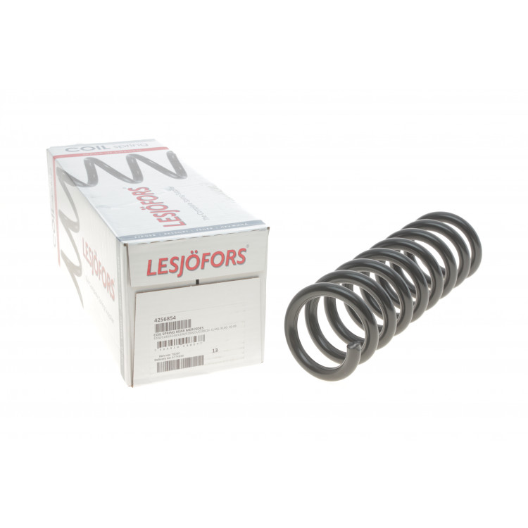 Пружина (задня) MB E-class (W211) E200-E350/E200-E320 CDI 02-08 (седан) (ос:Classic/Elegance)