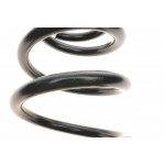 Пружина (задня) Mitsubishi Outlander II 2.0/DI-D/2.2DI-D/2.4 06-12 (позашляховик) (вид аморт:амортиз.стійка)