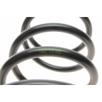 Пружина (задня) Nissan X-Trail 2.0/2.0 4x4/2.2DCi/Di/2.5 4x4 01-13 (позашляховик)