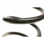 Пружина (задня) Nissan Pathfinder 2.5dCi/4.0 4WD 05-(SUV)