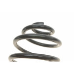 Пружина (задня) Opel Zafira A 1.6-2.2 16V/2.0DI/DTI/OPC/2.2DTI 99-05 (вен) (з пост.d)