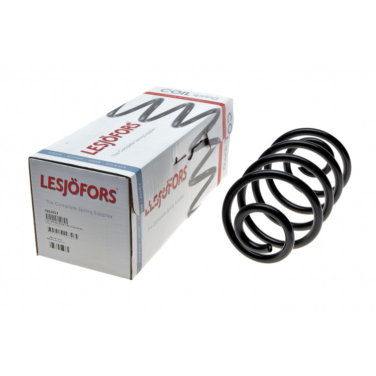 Пружина (задня) Opel Meriva A 1.3CDTI/1.4 16V Twinport/1.6/1.7CDTI/DTI/1.8 03-10 (вен)(з пост.d)