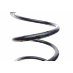 Пружина (задня) Renault Megane III 1.2TCe/1.4TCe/1.5-1.9dCi/1.6 16V 08- (нах.зад.частина)