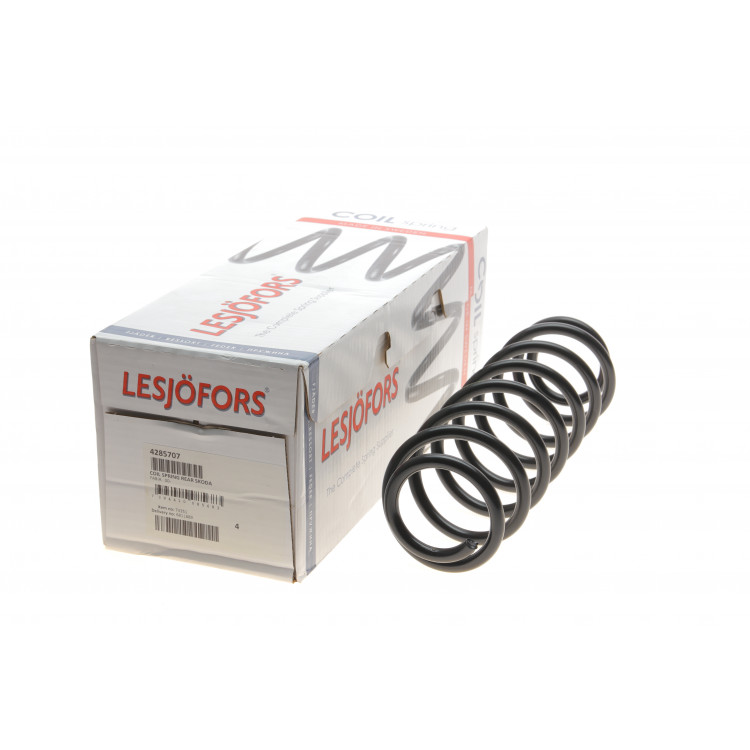 Пружина (задня) Skoda Fabia I/II 1.0-2.0/1.4-1.9TDI/1.2TSI/1.9SDI 99-14 (седан/накл.зад.частина)