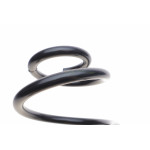 Пружина (задня) Skoda Superb II 1.4-2.0TSI/1.6-2.0TDI 08-15 (накл.з.ч)/VW Golf V 07-09 (унив)