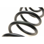 Пружина (задня) VW Passat B6/B7 1.4-1.8TSI/1.6-2.0TDI/FSI 05-14 (седан)/Tiguan 1.4TSI/2.0TDI 08-18