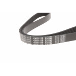 Ремінь генератора Fiat Scudo/Citroen Berlingo 1.9D/TD 96- (6PK1110)