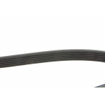 Ремінь генератора Honda Accord 2.0i/2.2i 93-98 (6PK1115)