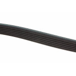 Ремінь генератора Renault Kangoo 1.5 dCi (6PK1200)