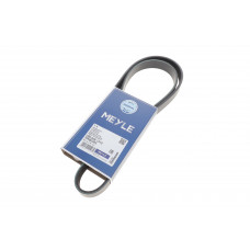 Ремінь генератора Fiat Doblo 1.3D Multijet/1.3JTD 05- (6PK1310)