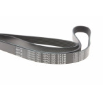 Ремінь генератора Renault Trafic 1.9/2.5dCI (+AC) (6PK1795)