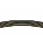 Ремінь генератора Renault Megane/Scenic 1.9dCi/2.0 03-/Nissan Juke 1.6 10- (7PK1125)