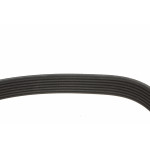 Ремінь генератора Renault Master/Opel Movano 2.5 dCi 03- (+AC) (7PK1795)