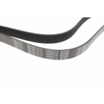 Ремінь генератора Ford Transit 2.4 TDCI 00-06 (7PK2713)