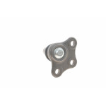 Опора кульова (передня/знизу) Citroen C2/C3/Peugeot 207 09-