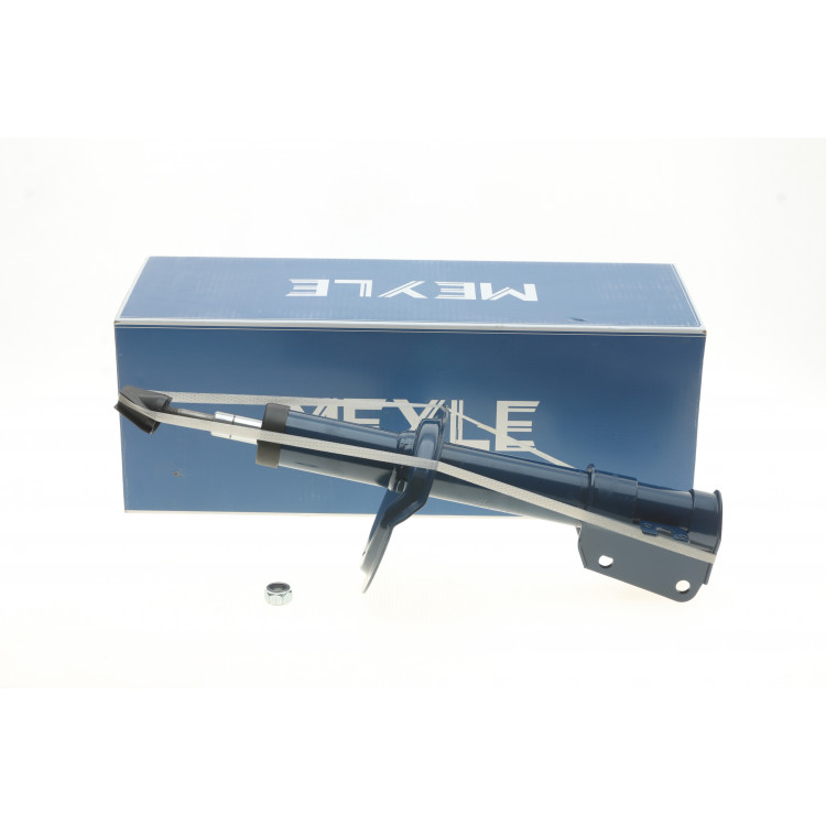 Амортизатор (передній) Fiat Scudo 96-06