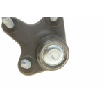 Опора кульова (передня/знизу/R) VW Caddy 03-