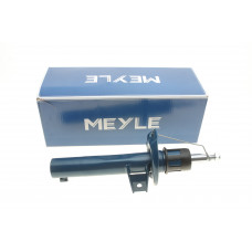 Амортизатор (передній) VW Caddy 03- (D 55)