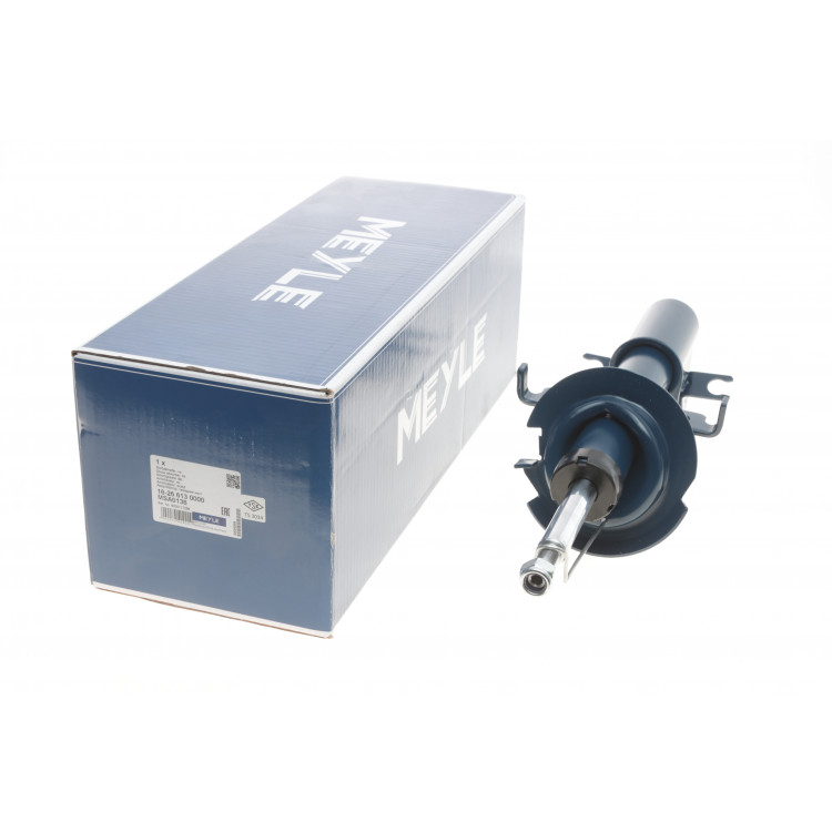 Амортизатор (передній) Renault Laguna II 01-