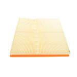 Фільтр повітряний BMW 5 (F10)/7 (F01)/X3/X5/X6 3.0 08-