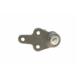 Опора кульова (передня/знизу) Ford Focus 03-12