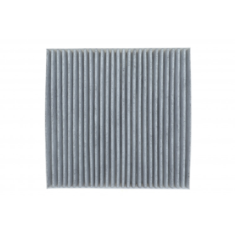 Фільтр салону Renault Laguna II 00-07 (вугільний)