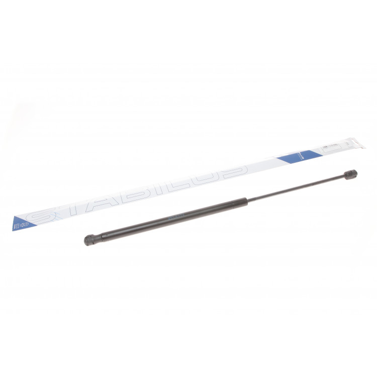 Амортизатор кришки багажника Ford Focus 03-07